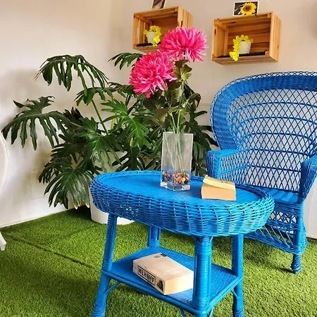 Camelias Q17 Apartment